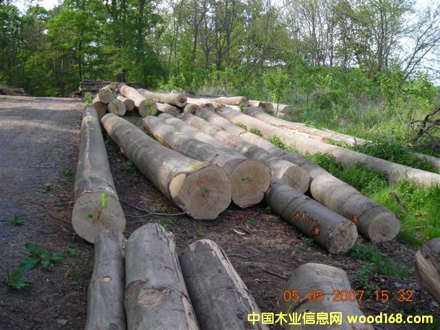 ɽë��ľ��Ԕ����B