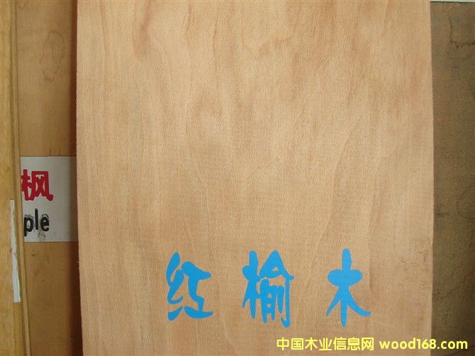 �c���鿴�t��ľ�Ŵ�DƬ