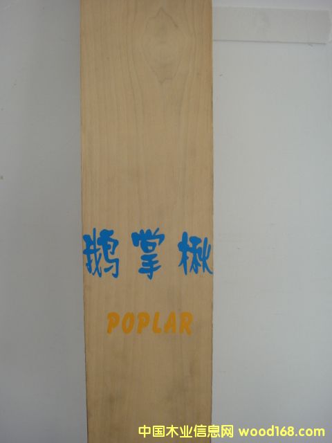 �c���鿴�Z��鱷Ŵ�DƬ