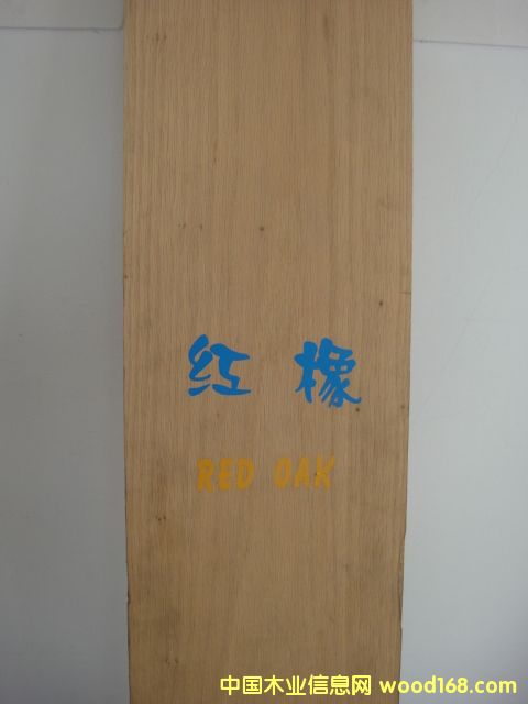 �c���鿴�t��Ŵ�DƬ