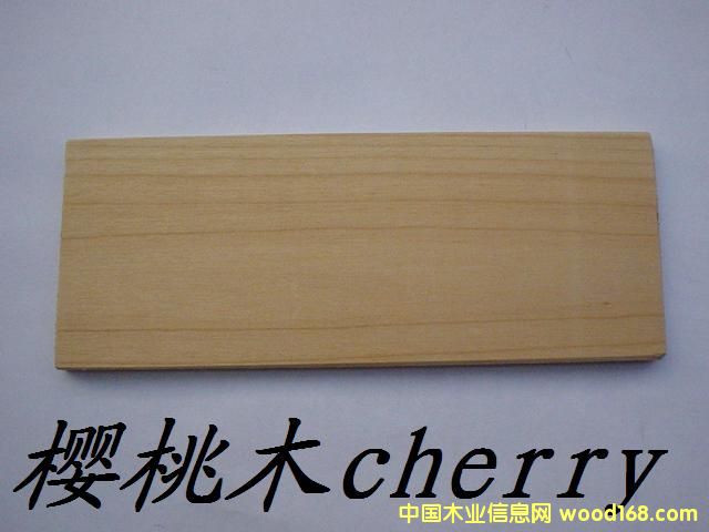 �c���鿴����ľ�Ŵ�DƬ