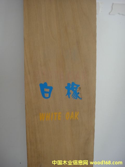 �c���鿴����Ŵ�DƬ