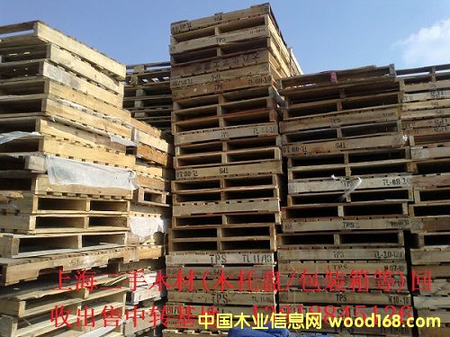 ���ն���ľ�бP  ���b�� �����fľ�� ���̎��ľ�ĵ�Ԕ����B