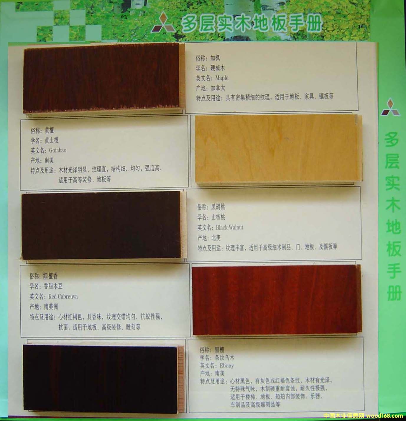 �ͺϵذ��Ԕ����B