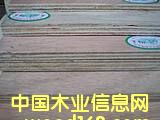 �N����Ԕ����B