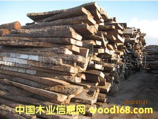 �����M�ڼt�F�� ������֦���