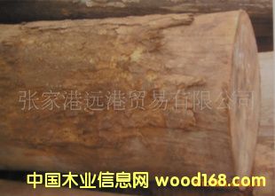 ���Ҹ��h��ľ�I ����ܛ�½� �W��ԭľ ��� ľ��