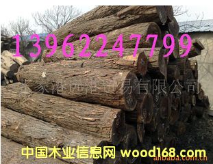 �����t�F�� ������֦ԭľ ��� ľ��