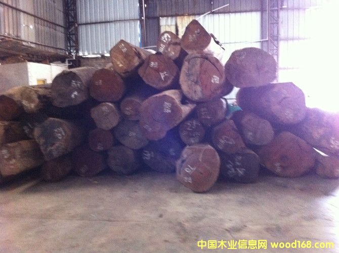 ����ľ��Ԕ����B