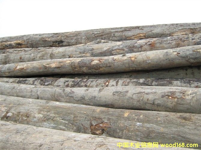 �𲻓Q��Ԕ����B