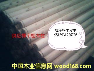 ����ľ����Ԕ����B