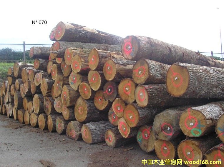 ����ԭľ��Ԕ����B