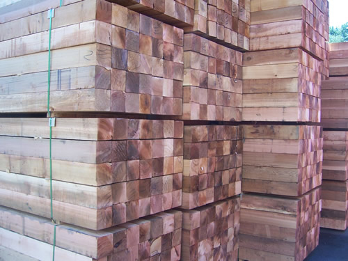 �tѩ��2��Ԕ����B