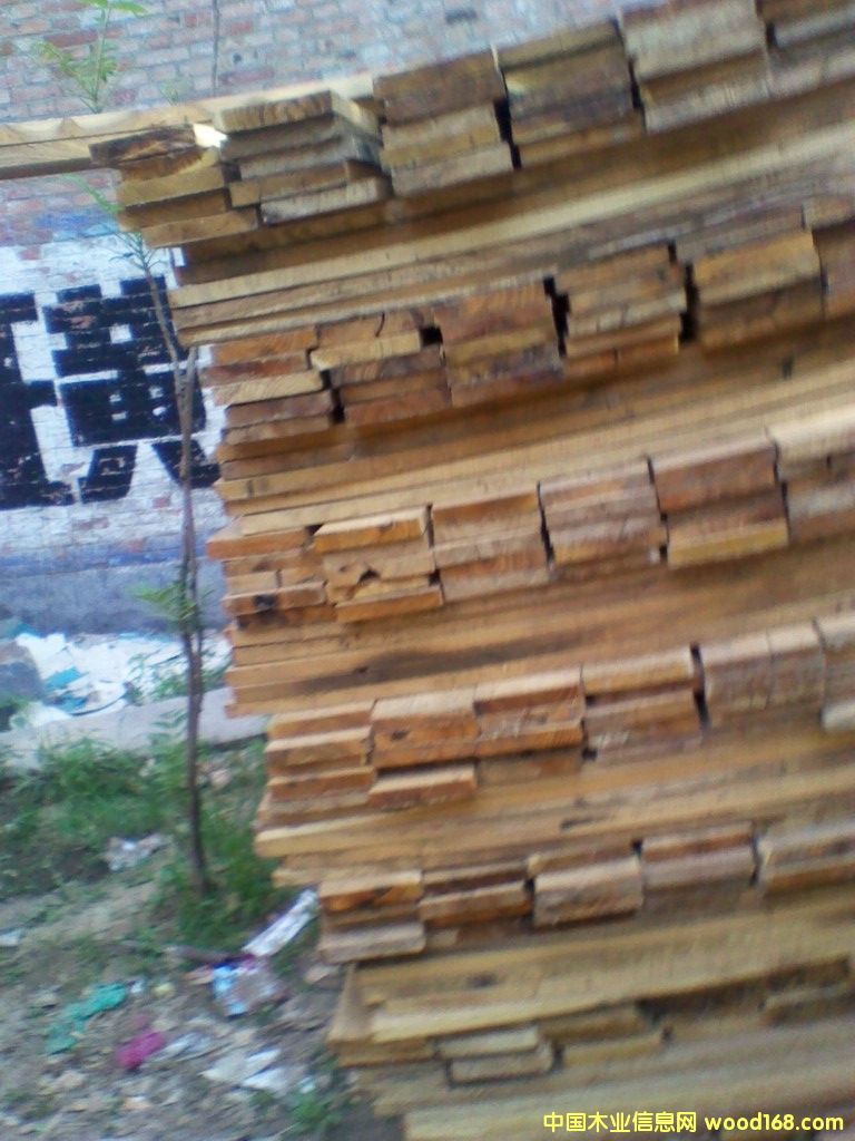 ��ľ�����ӵ�Ԕ����B