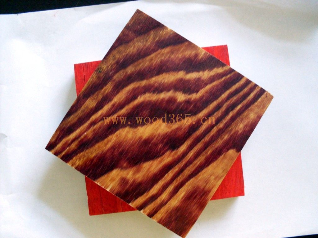 ����ģ���Ԕ��(x��)��B