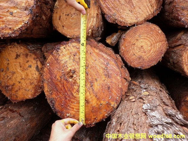 ����͢����ɵ�Ԕ����B