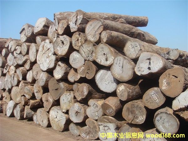 Ƥ�ҵ�Ԕ����B