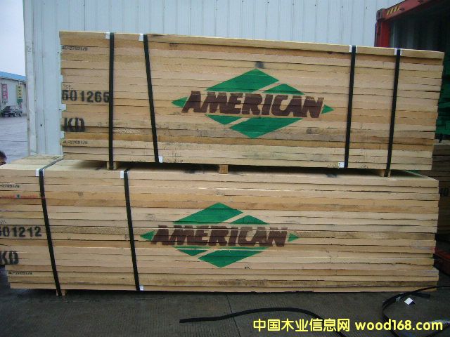 ����ľ�I(AMERICAN)��Ԕ����B