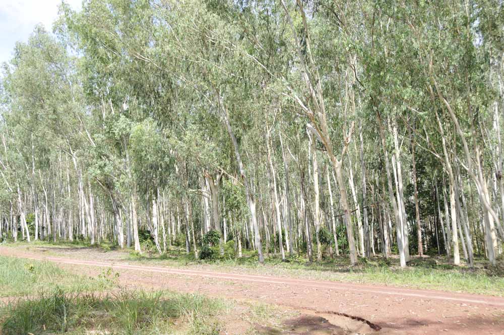 ̩�����|���ԭľ��Ԕ����B