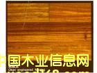 �t���Ԕ��(x��)��B