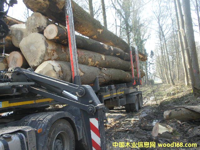 ��Ϟľ��Ԕ����B