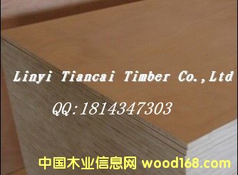 �c���鿴�Sͩ��Ƥ�z�ϰ壬�R�����ľ�I�Sͩ�z�ϰ�Ŵ�DƬ
