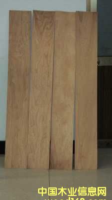 ��ľ�ذ����  ����Ԕ����B