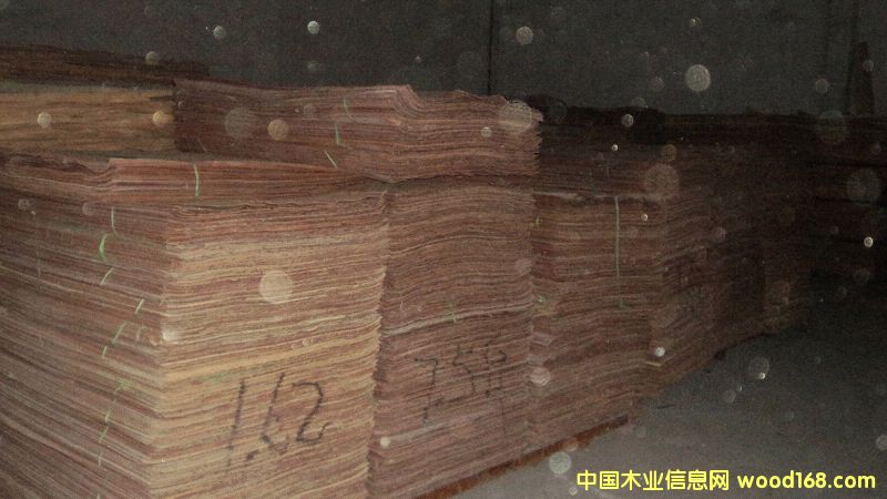 �sľ�o��о���Ԕ����B