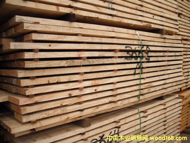 Taeda pine��Ԕ����B