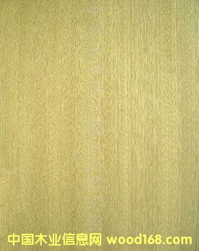 ����ľƤ��Ԕ����B