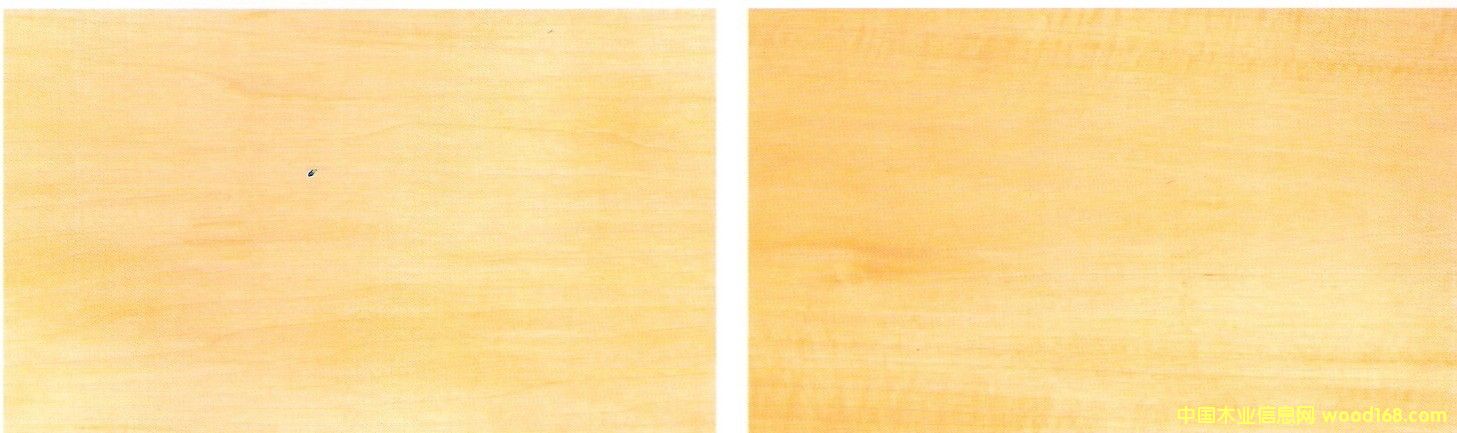�ľBasswood