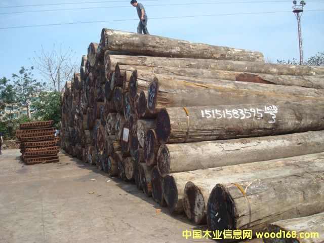 �c(di��n)���鿴���}��ԭľ�Ŵ�DƬ