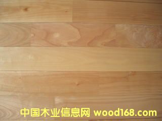 ��ľ�ذ壨����ľ����Ԕ��(x��)��B