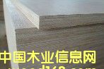 ���Ӱ��Ԕ����B