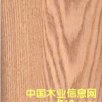 ���y��ľ��Ԕ����B