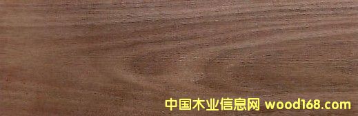 �ں��� Black Walnut