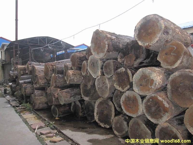 �����t��ԭľ��Ԕ����B