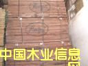 �ں��ҵ�Ԕ����B