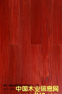 HS  MAHONI�����һ���1ƴ��Ԕ����B