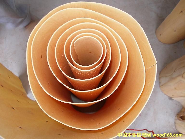 һ����ľ�ΰ��Ԕ����B