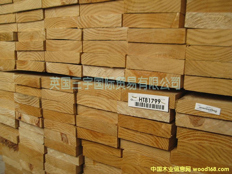 ���|ݗ����ľ���