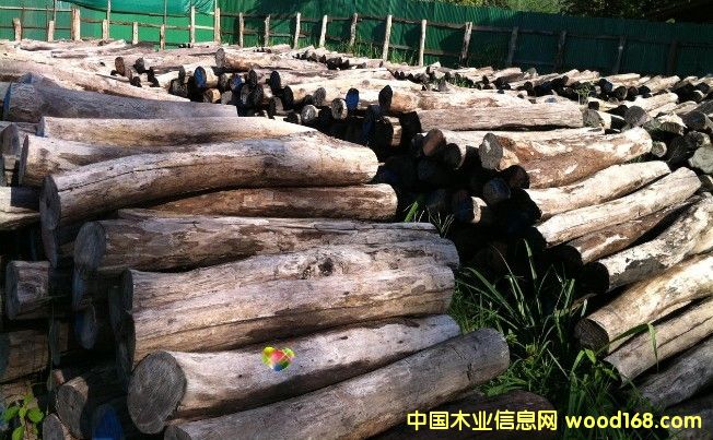 �ϓ��t��֦��Ԕ��(x��)��B