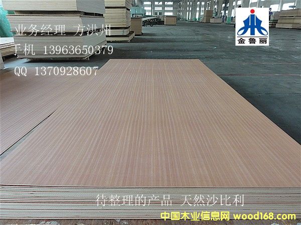 ɳ�����b��Ԕ����B