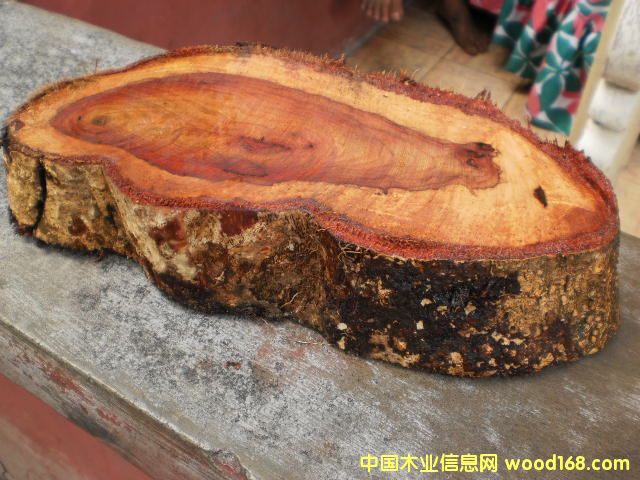 �{���� Narra ��Ԕ����B