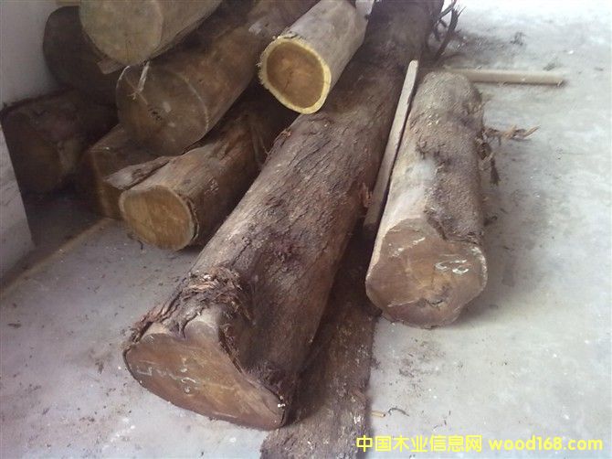 ��˼ľ��Ԕ����B