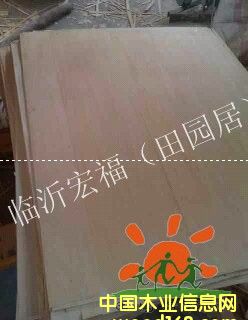 �ļ���@�ӵ�Ԕ����B