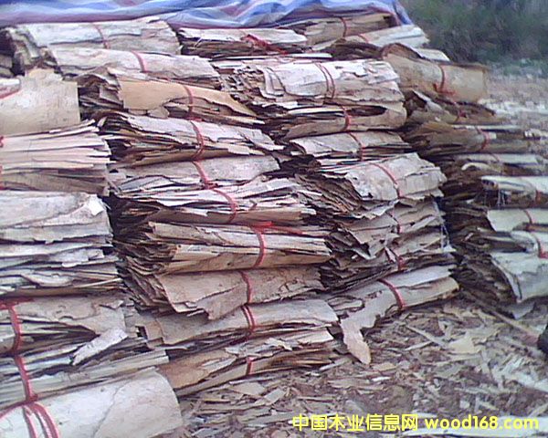 ��ľ/��ľ�U��/���Ԕ����B