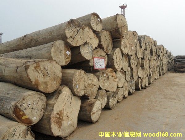 �t����ԭľ��Ԕ����B