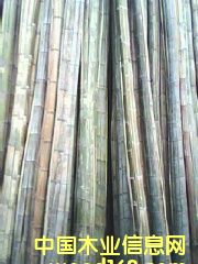 ��Ƭ��Ԕ����B