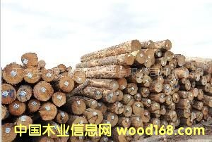 ���l(f��)����(gu��)��(y��u)�|(zh��)����ԭľ